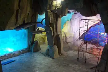 新疆乌鲁木齐沙海绿珠海洋世界,图二