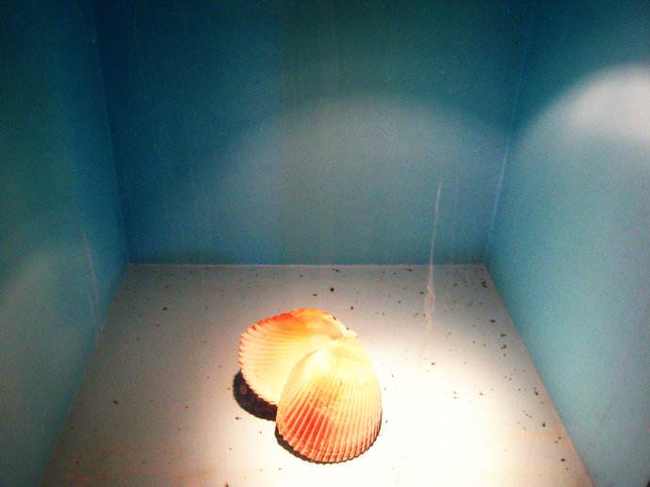 新疆乌鲁木齐沙海绿珠海洋世界,图三