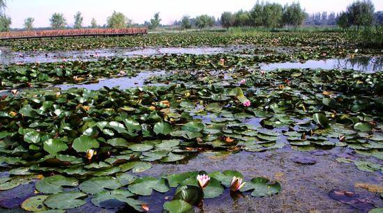 新疆乌鲁木齐青格达湖旅游风景区,图三