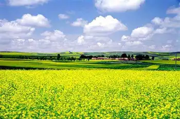 新疆乌鲁木齐菊花台,图二