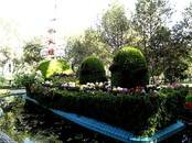 新疆乌鲁木齐市植物园