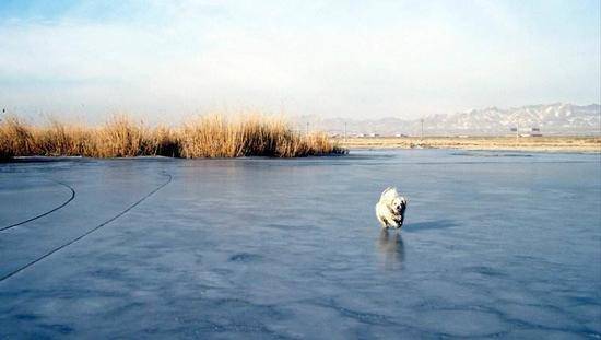 新疆乌鲁木齐柴窝堡湖旅游区,图三