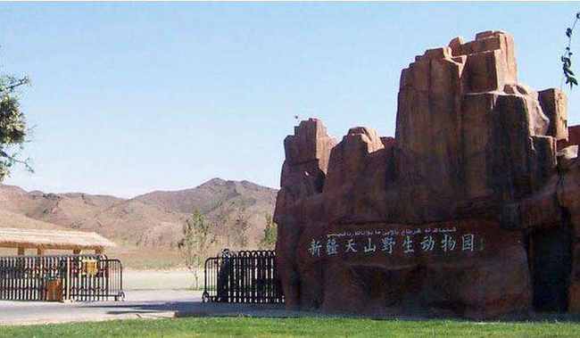 新疆乌鲁木齐天山野生动物园,图一