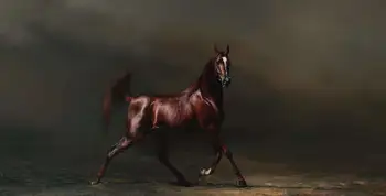 新疆古生态园,图三