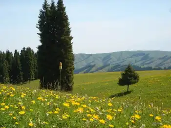 新疆乌鲁木齐菊花台,图三