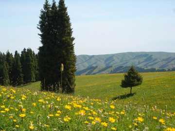 新疆乌鲁木齐菊花台,图三