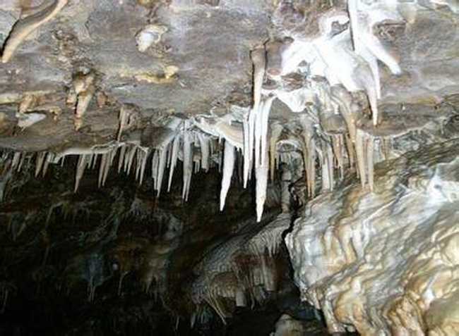 新疆伊犁科桑溶洞国家森林公园,图一