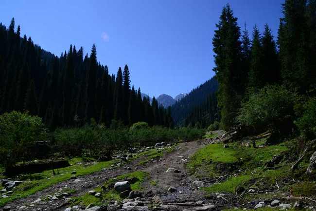 新疆伊犁恰西风景区,图二
