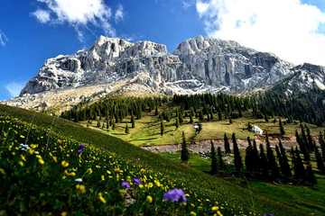 新疆伊犁库尔德宁风景区,图一
