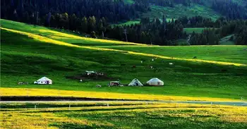 新疆伊犁那拉提草原,图一