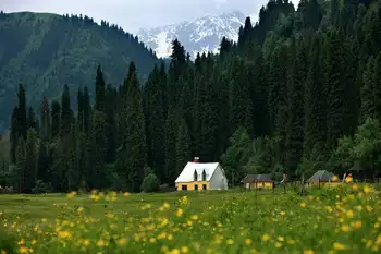新疆巩留县库尔德宁生态旅游区,图二