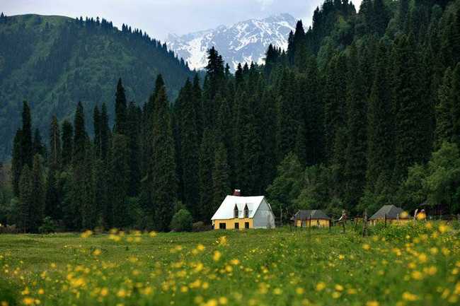 新疆巩留县库尔德宁生态旅游区,图二