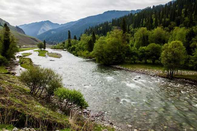 新疆伊犁巩乃斯河谷,图三