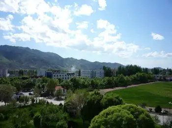 新疆伊犁尼勒克次生林度假村,图三