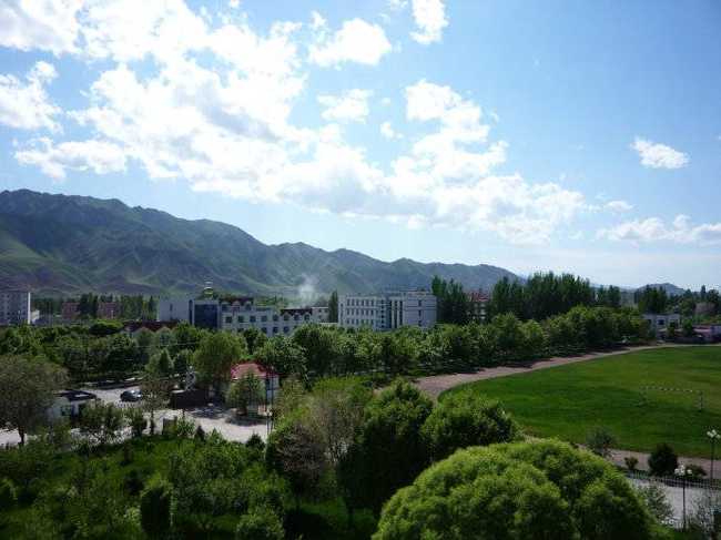 新疆伊犁尼勒克次生林度假村,图三