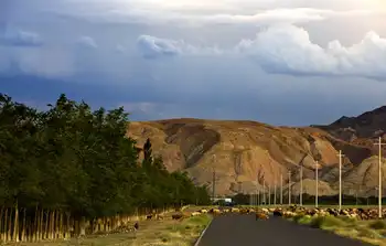 新疆奎屯大峡谷介绍,图二