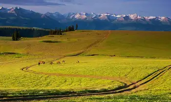 新疆伊犁喀拉峻草原风景区,图一