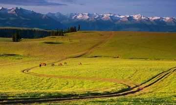 新疆伊犁喀拉峻草原风景区,图一