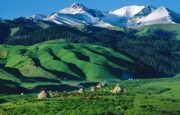 新疆伊犁雪岭云杉自然保护区,图一