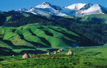 新疆伊犁雪岭云杉自然保护区,图一