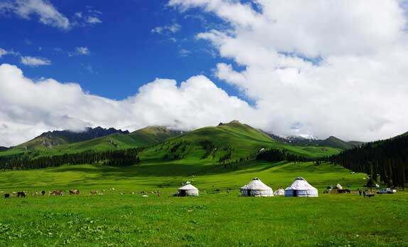 新疆伊犁那拉提森林公园,图三