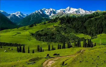 新疆伊犁恰西风景区,图一