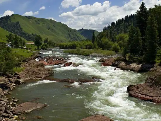 伊犁巩乃斯河2.jpg