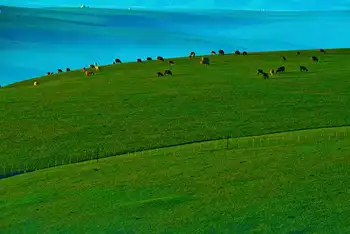 新疆伊犁昭苏草原,图二