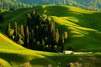 新疆伊犁那拉提旅游风景区,图二