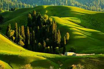 新疆伊犁那拉提旅游风景区,图二