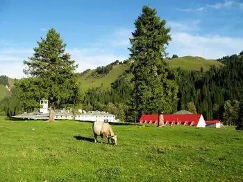 新疆伊犁州阿克塔斯避暑山庄,图三