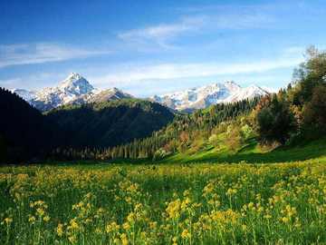 新疆伊犁库尔德宁风景区,图二
