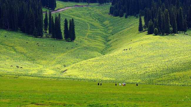 新疆伊犁那拉提草原,图三