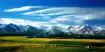 新疆伊犁喀拉峻草原风景区