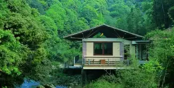 新疆伊犁尼勒克次生林度假村,图一