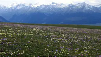 新疆伊犁夏塔旅游区,图三