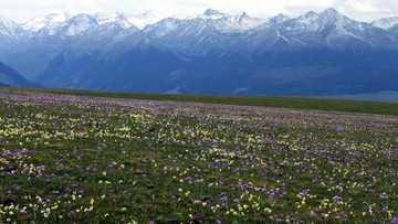 新疆伊犁夏塔旅游区,图三