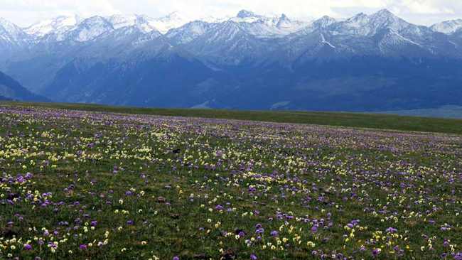 新疆伊犁夏塔旅游区,图三