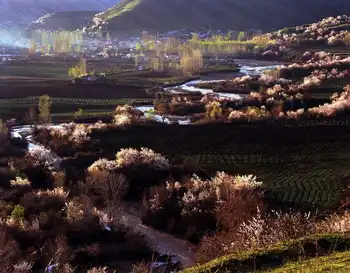 新疆伊犁莫乎尔风景区,图二