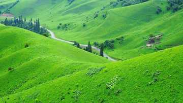 新疆伊犁那拉提旅游风景区,图一