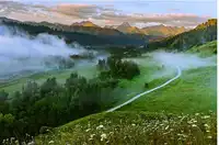 新疆巩留县库尔德宁生态旅游区