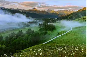 新疆巩留县库尔德宁生态旅游区,图一