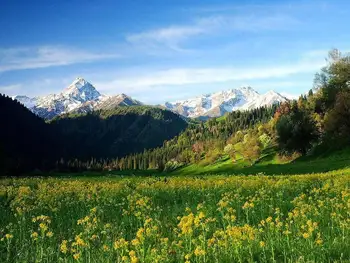 新疆巩留县库尔德宁生态旅游区,图三