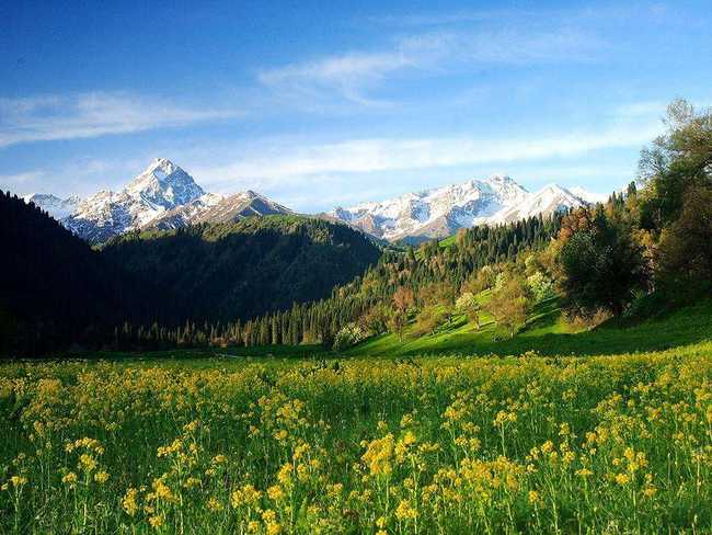 新疆巩留县库尔德宁生态旅游区,图三
