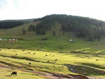 天堂很远喀纳斯很近,图二