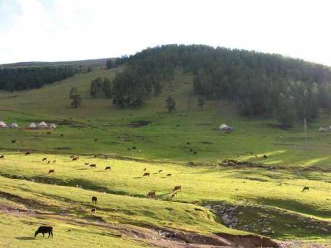 天堂很远喀纳斯很近,图二