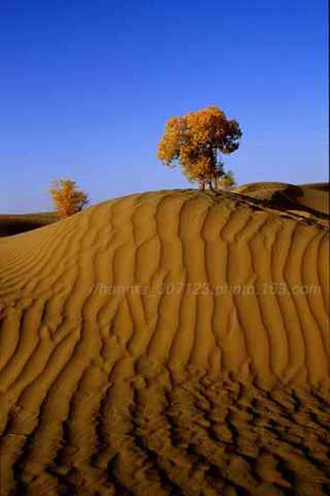 新疆风光,图十四