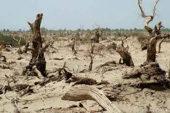 穿越塔克拉玛干（中）,图十四