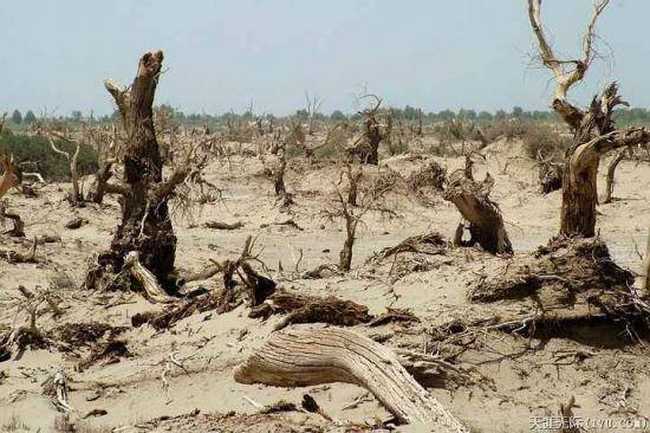 穿越塔克拉瑪干(中),圖十四