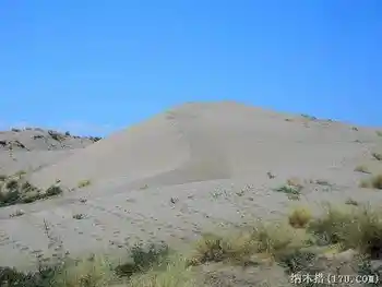 秋天最适合去新疆,图十一